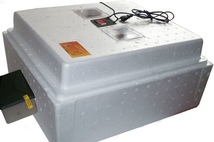 Инкубатор Несушка на 104 яйца N62 аналог.терморегулятор